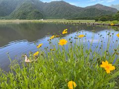 -大九湖