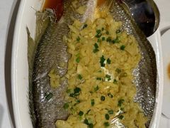 -香港狮子山下·明星粤菜餐厅(北苑店)