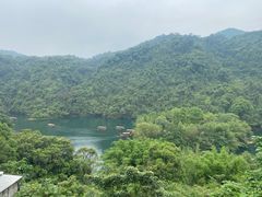 -鼎湖山风景区