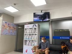 -申普宠物医院·心脏介入·心血管微创(总院)