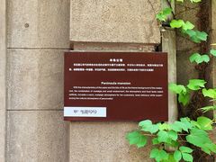 -半岛公馆(淞兴西路店)