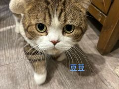 -小时光咖啡馆(北锣鼓巷店)