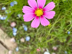 -上海滨江森林公园