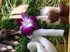 -慢丽江·云南野生菌土鸡锅(付家庄店)