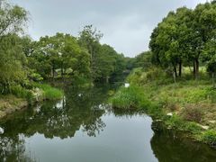 -贡湖湾湿地公园
