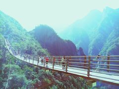 -武陵山森林公园