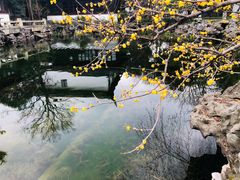 -东山雕花楼