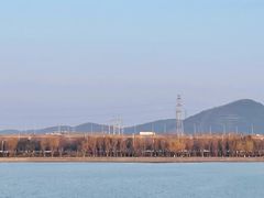 -羊山湖公园