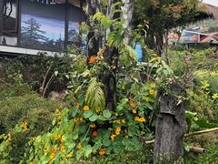 -优游吧斯邹族文化部落