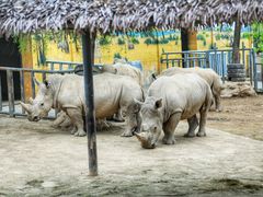 -西安秦岭野生动物园