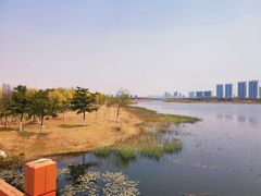 -鉴湖国家城市湿地公园