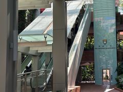 -香港大学