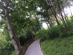 -北极寺公园