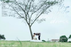 -巴黎时尚婚纱摄影(南汇店)