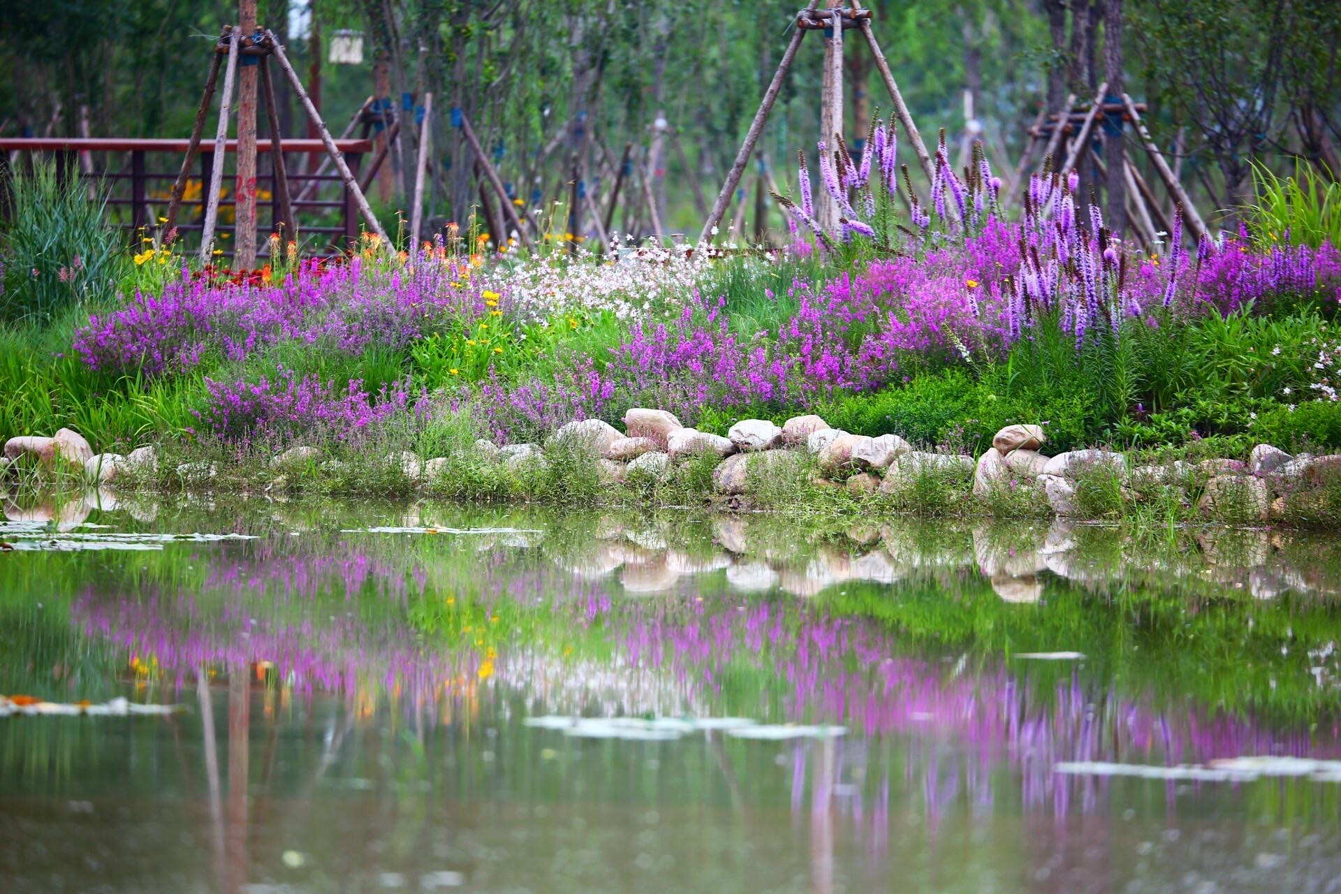 水滨花园图片