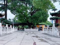 -上海东林寺(金山区)