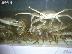 8-小陆莲花蟹园农家乐(莲花岛店)