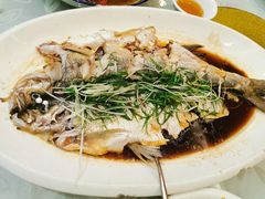 -钓台野鱼馆(钱江国际时代广场店)
