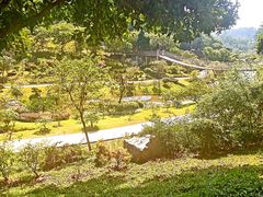 -东莞植物园