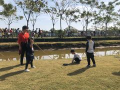 -上海长兴岛郊野公园