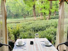 -野蔓果·山野菜(西湖景区·龙井茶田店)