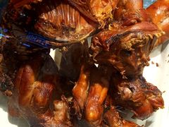 婆婆红板兔-鑫记婆婆兔·成都特产·兔头手撕兔(太古里店)