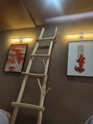 -肌理言健康美肌驻颜所