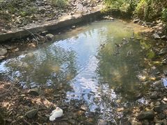 -楠溪江风景名胜区