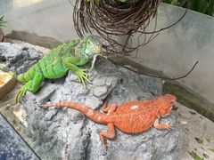 -广州长隆飞鸟乐园