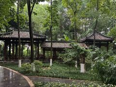 -龙头寺公园