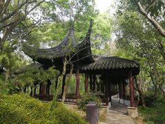 -上海佘山国家森林公园天马山园