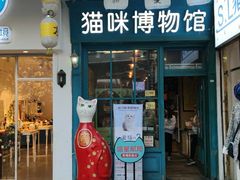 -猫咪博物馆(顶澳仔猫街店)
