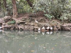 -兰亭风景区