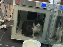 -萌兽医馆·眼科·异宠专科(三里屯店)