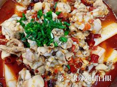 -专业跳跳蛙·彭彭老铺(步行街店)