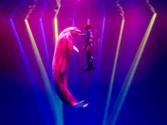 -芜湖新华联大白鲸海洋公园