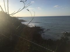 -龙头岩(Dragon Head Rock)