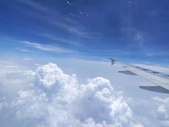 -威海大水泊国际机场