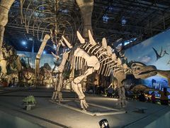 -西峡恐龙遗迹园