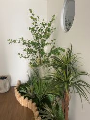 -美肌工坊皮肤管理