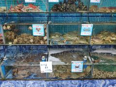 水产区-范饭椰林川湘味海鲜·椰子鸡(三亚湾椰梦长廊店)