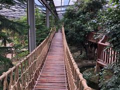 -呀路古热带植物园