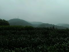 android_upload_pic-西湖风景区十里琅珰-五云山