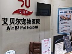 -艾贝尔宠物医院 ·内科全科(梁溪路店)