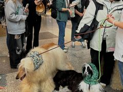 -东浩兰生上海世博展览馆