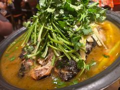 -探鱼·鲜青椒爽麻烤鱼(增城东汇城店)