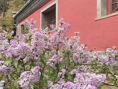 -潭柘寺景区