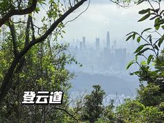 -梧桐山风景名胜区