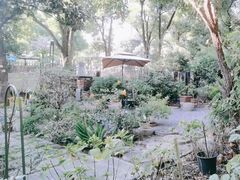 -谷咖啡·鲜花绿植花园餐厅