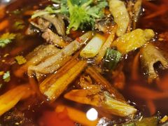 -高坎一品甲鱼庄(两河店)